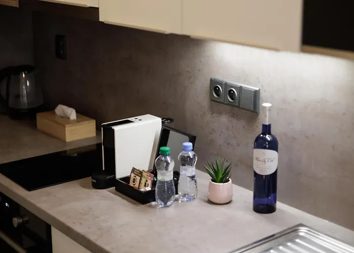 River Hotel apartamentowy Mladá Boleslav